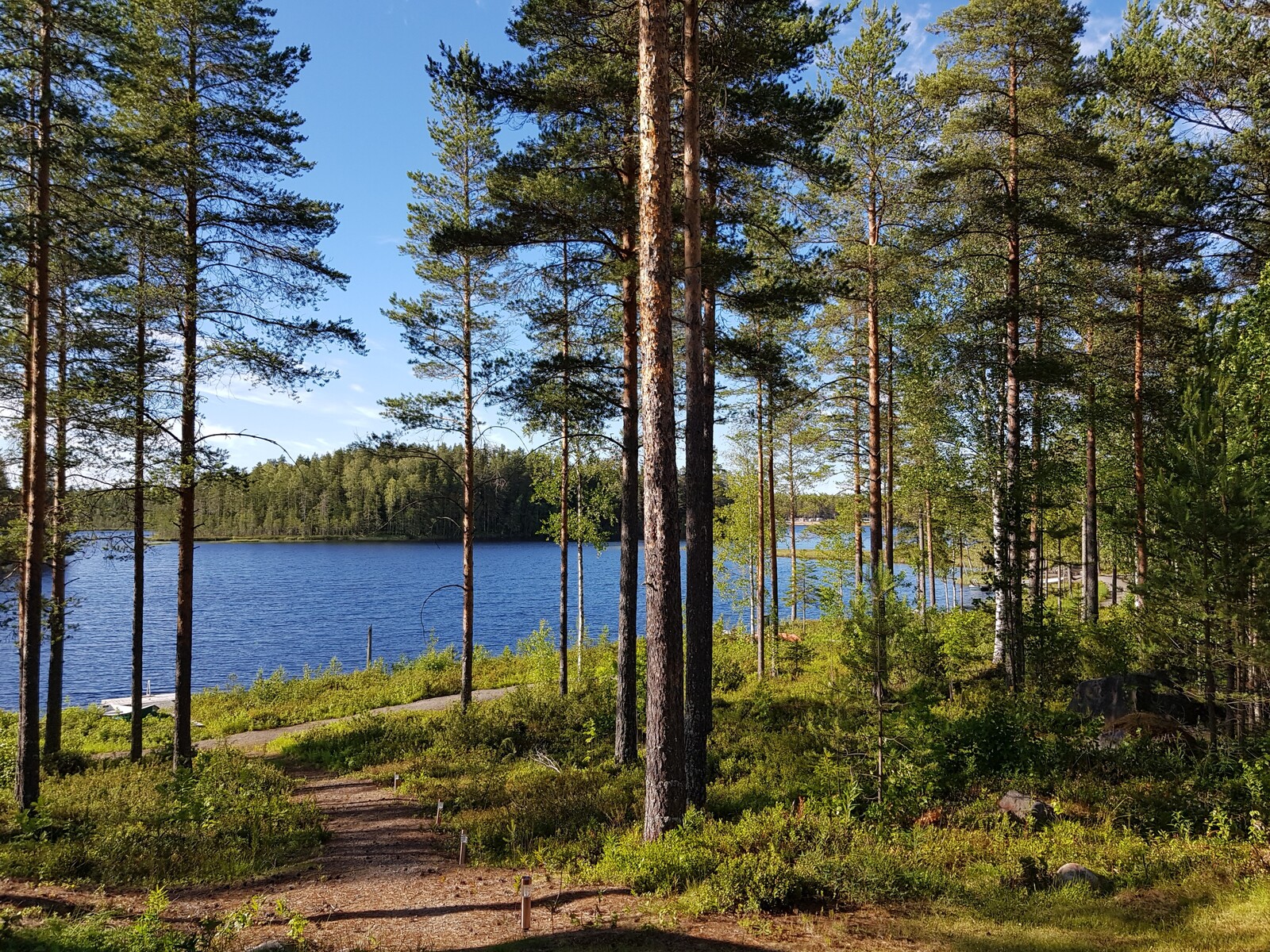 Aurinkoisen mäntymetsän takaa avautuu järvimaisema. Korttelissa 5 on yhteinen laituri ja venepaikat.