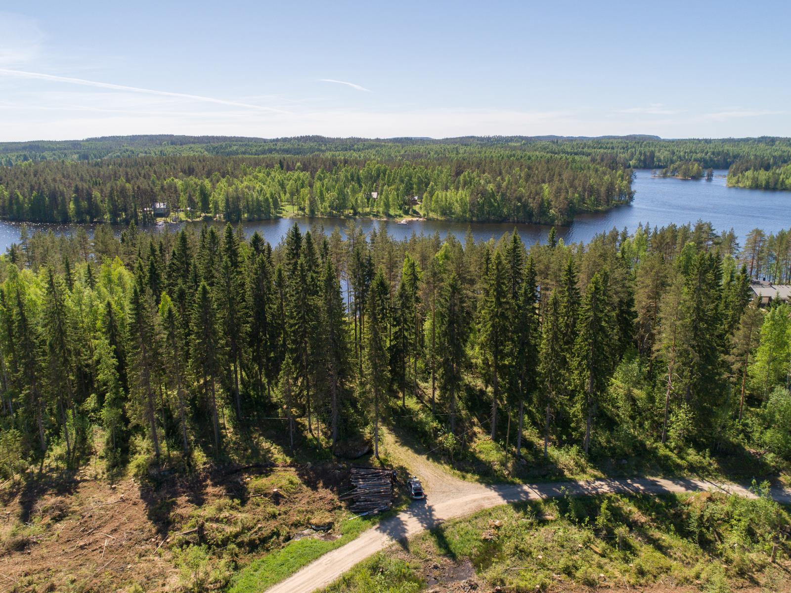 Kesäinen sekametsä ympäröi järveä, jonka rannalla on rakennuksia. Etualalla kulkee tie. Ilmakuva.