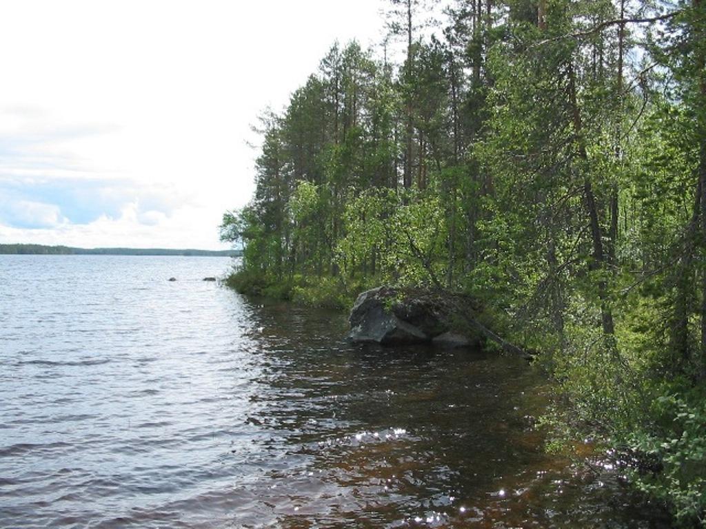 Vehreä sekametsä reunustaa järveä vasemmalle kääntyvässä rantaviivassa. Rannassa on kivi.