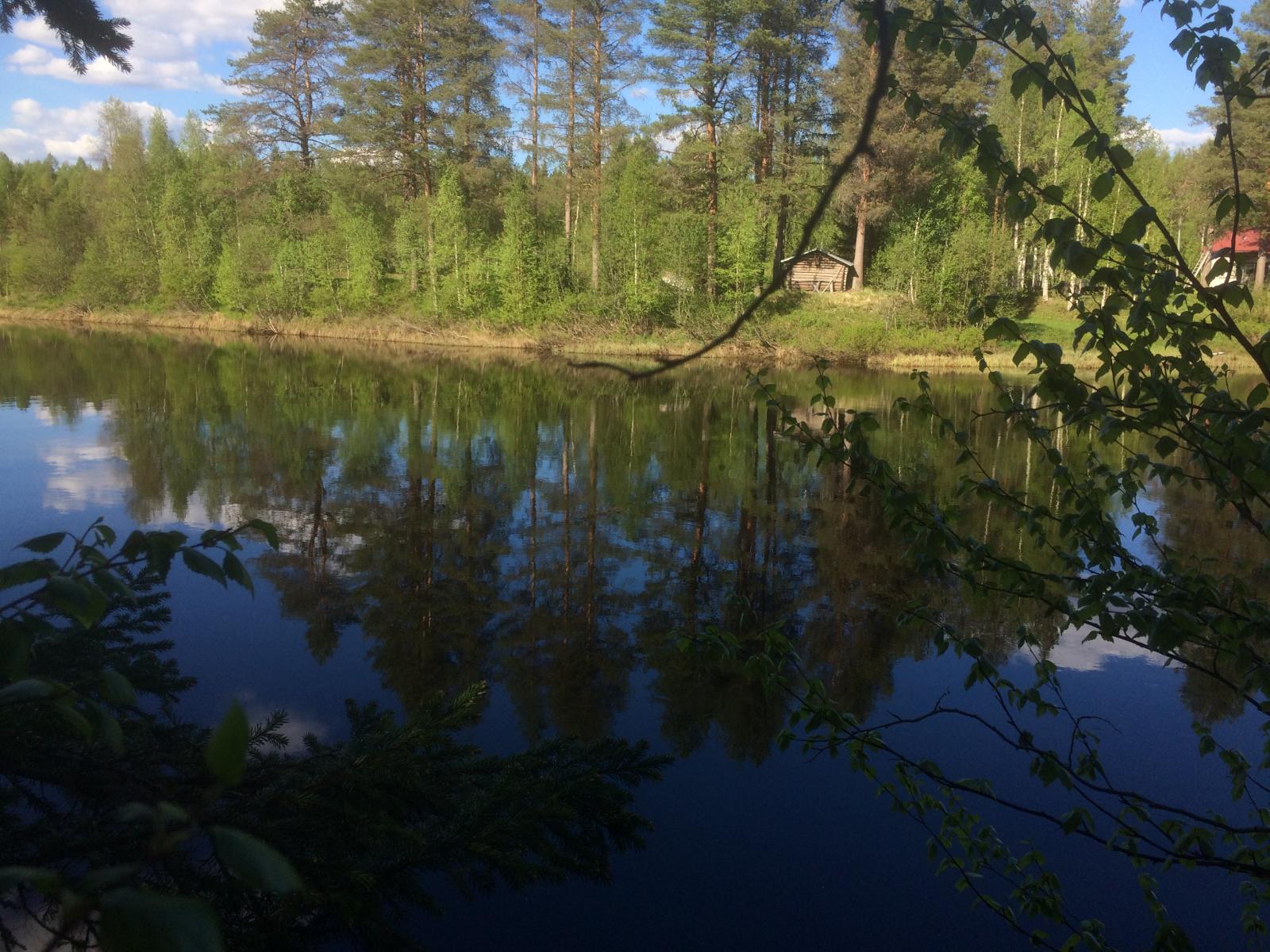 Puiden oksat reunustavat kesäistä jokimaisemaa. Vastarannalla on rakennuksia.