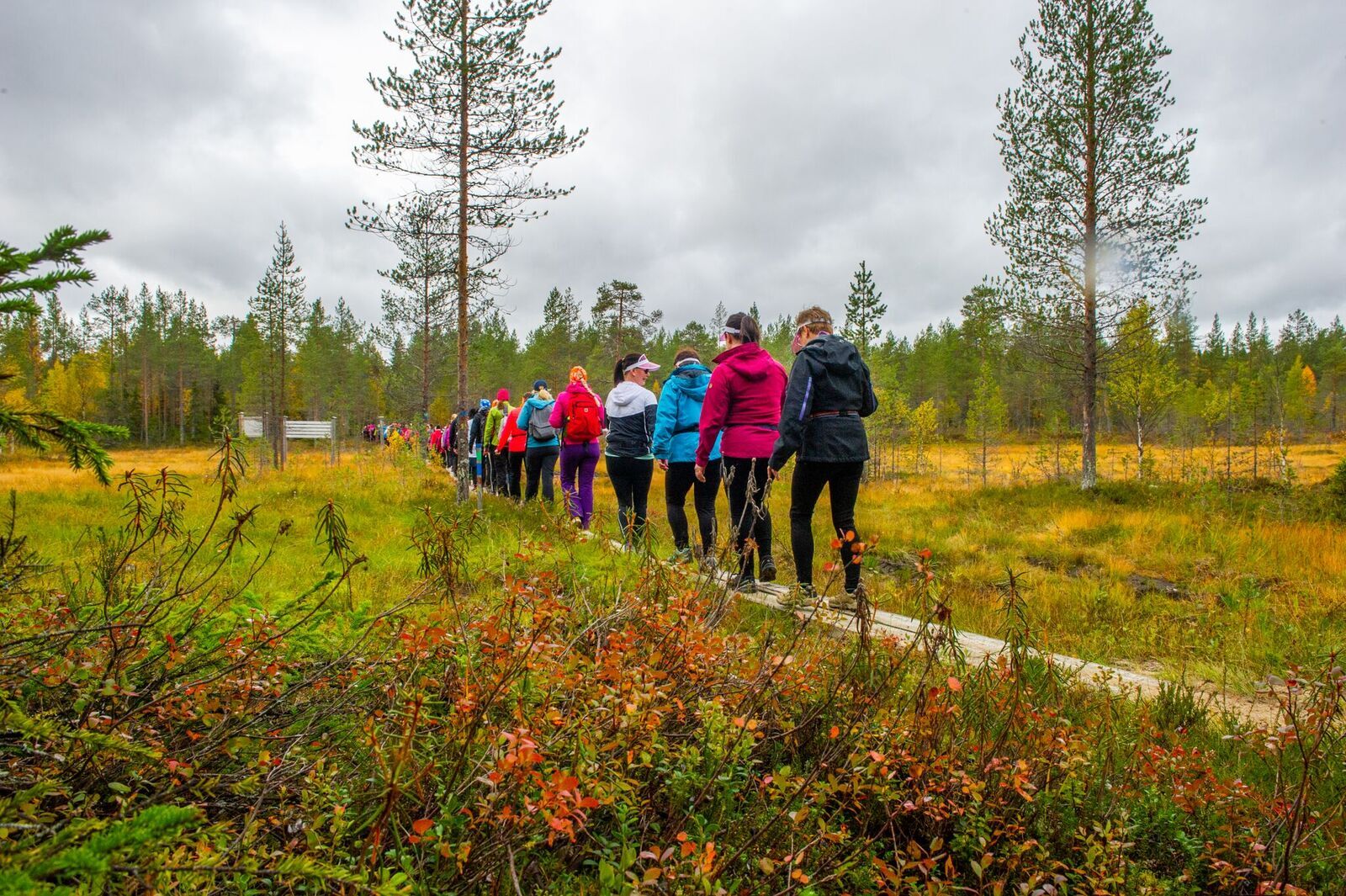 Useita retkeilijöitä ylittämässä suota pitkospuita pitkin Halla Akan vaellustapahtumassa.