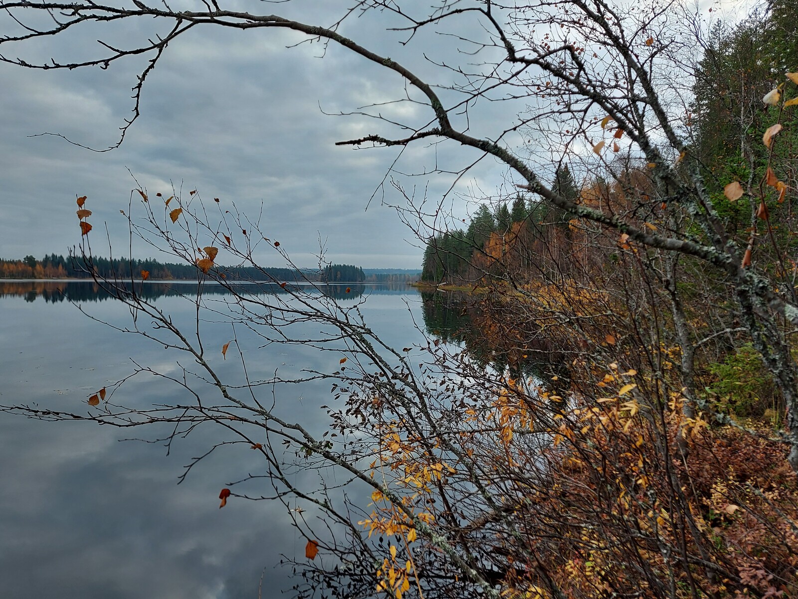 Syksyinen sekametsä reunustaa järveä, jonka tyyneen pintaan heijastuu pilvinen taivas.