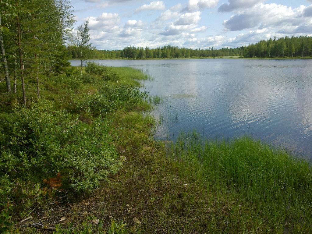 Sekametsä reunustaa tontin rantaa. Poutapilvinen taivas heijastuu veteen. Rantavedessä vesikasveja.