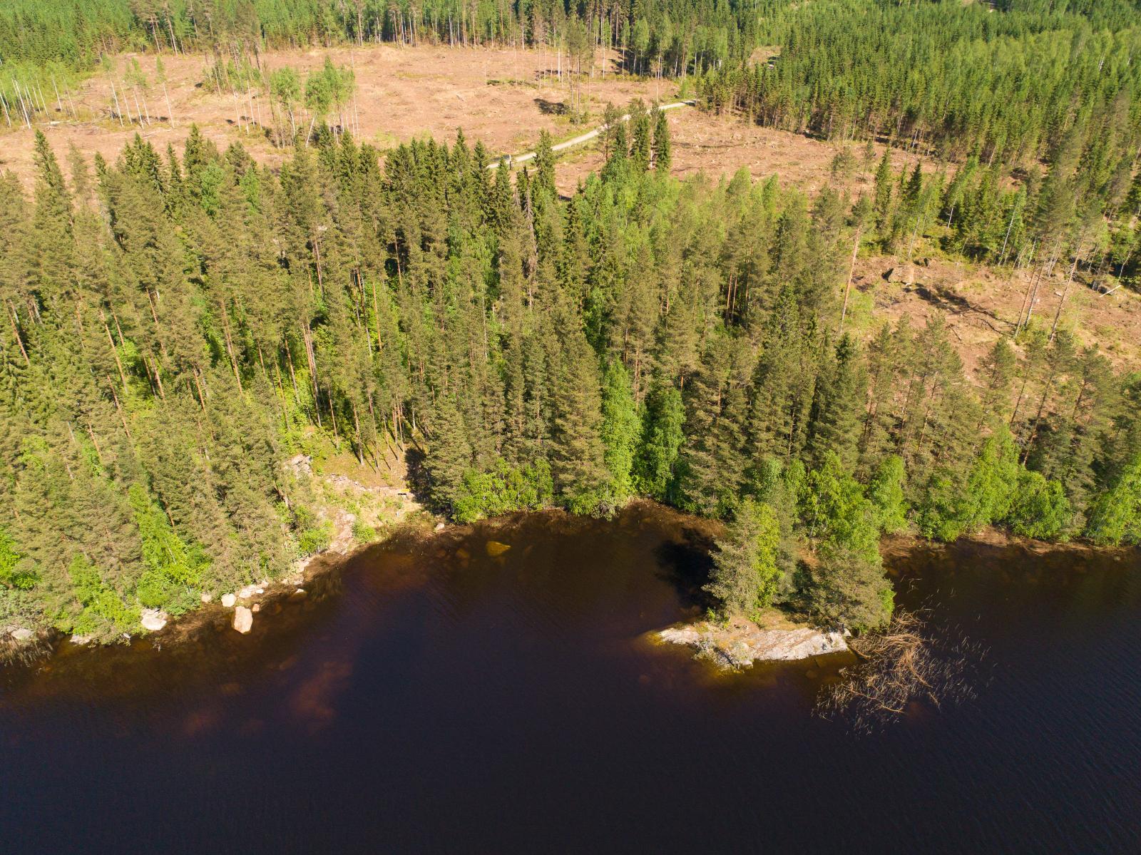 Kesämaisemassa järveä reunustaa sekametsä, jossa on hakkuuaukeita. Rannassa on kiviä. Ilmakuva.