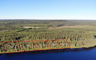 Viiden tontin kaavat piirrettynä metsään järven rannalle. Metsäalue jatkuu horisonttiin. Ilmakuva.