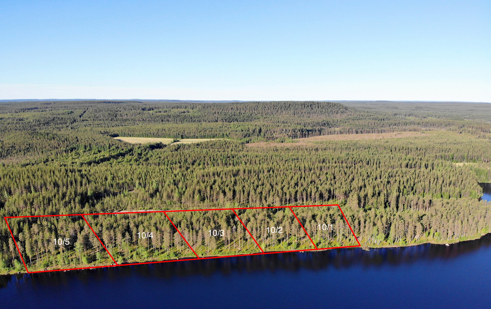 Viiden tontin kaavat piirrettynä metsään järven rannalle. Metsäalue jatkuu horisonttiin. Ilmakuva.