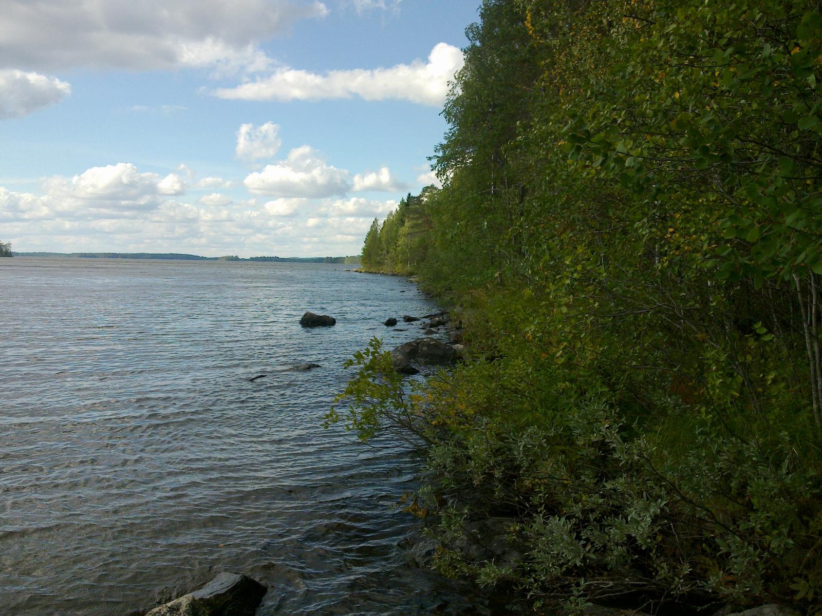 Kesäinen metsä reunustaa järveä. Rantavedessä on kiviä ja järvenselkä jatkuu horisonttiin.