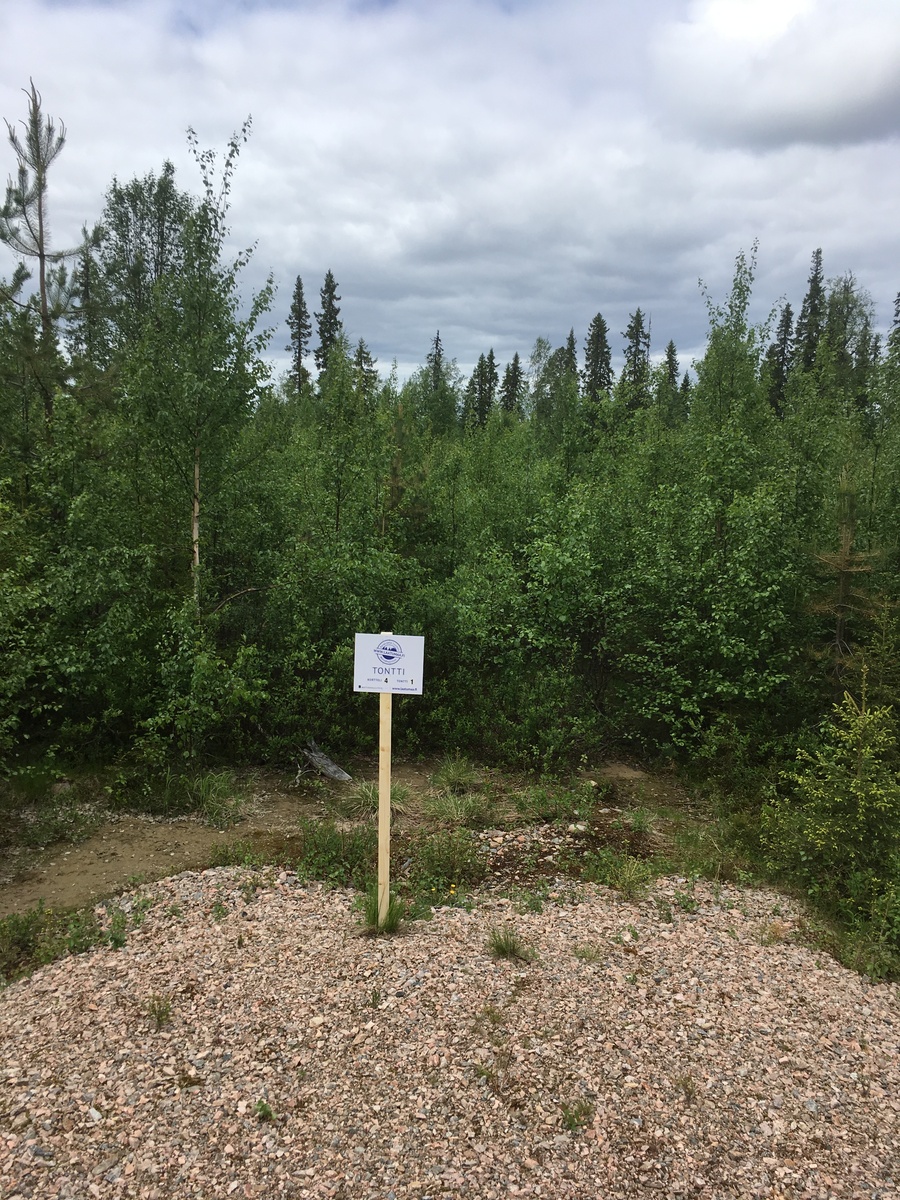 Tontin takaosan sekametsän edustalla on Laatumaan tonttikyltti ja sorainen tienpohja.