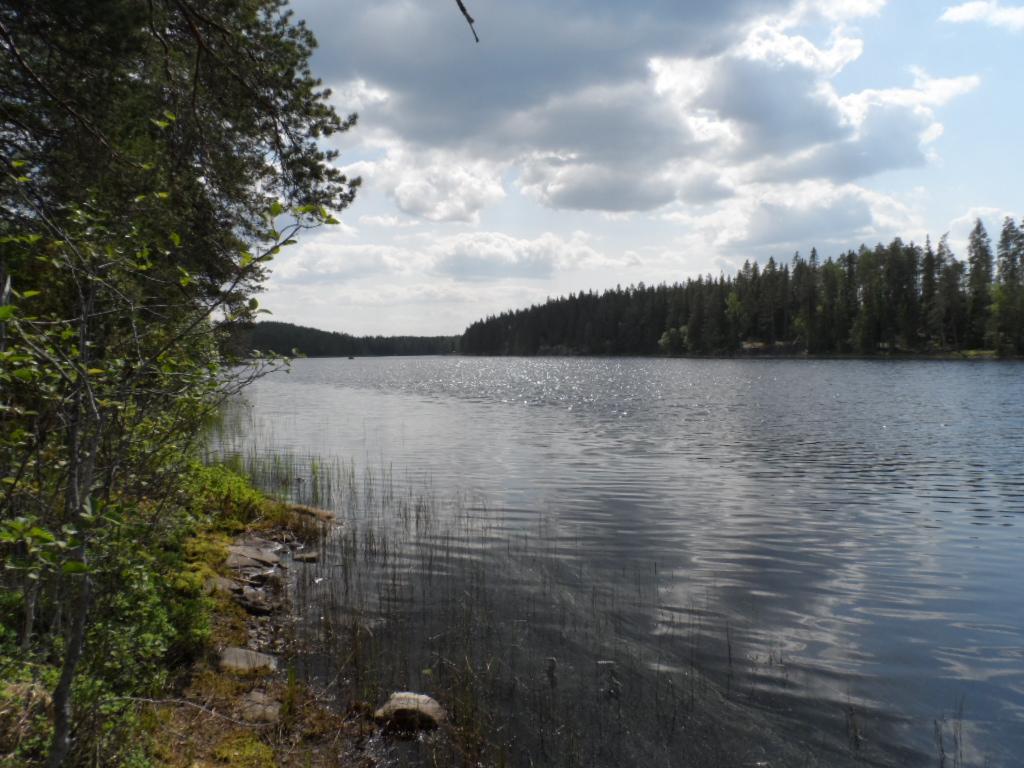 Vasemmalla kesäinen sekametsä reunustaa järveä. Puolipilvinen taivas heijastuu veteen.