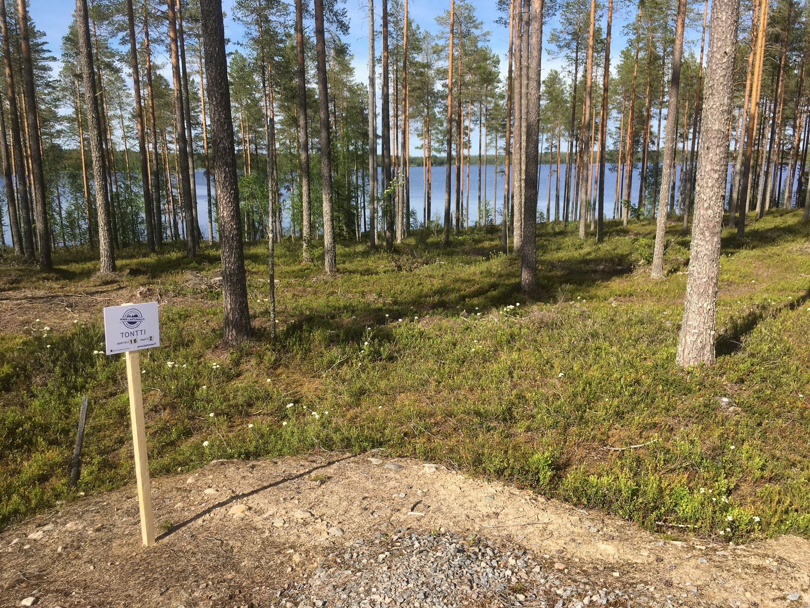 Avaran mäntykankaan takana siintää järvi. Etualalla tienpohja ja Laatumaan tonttikyltti.