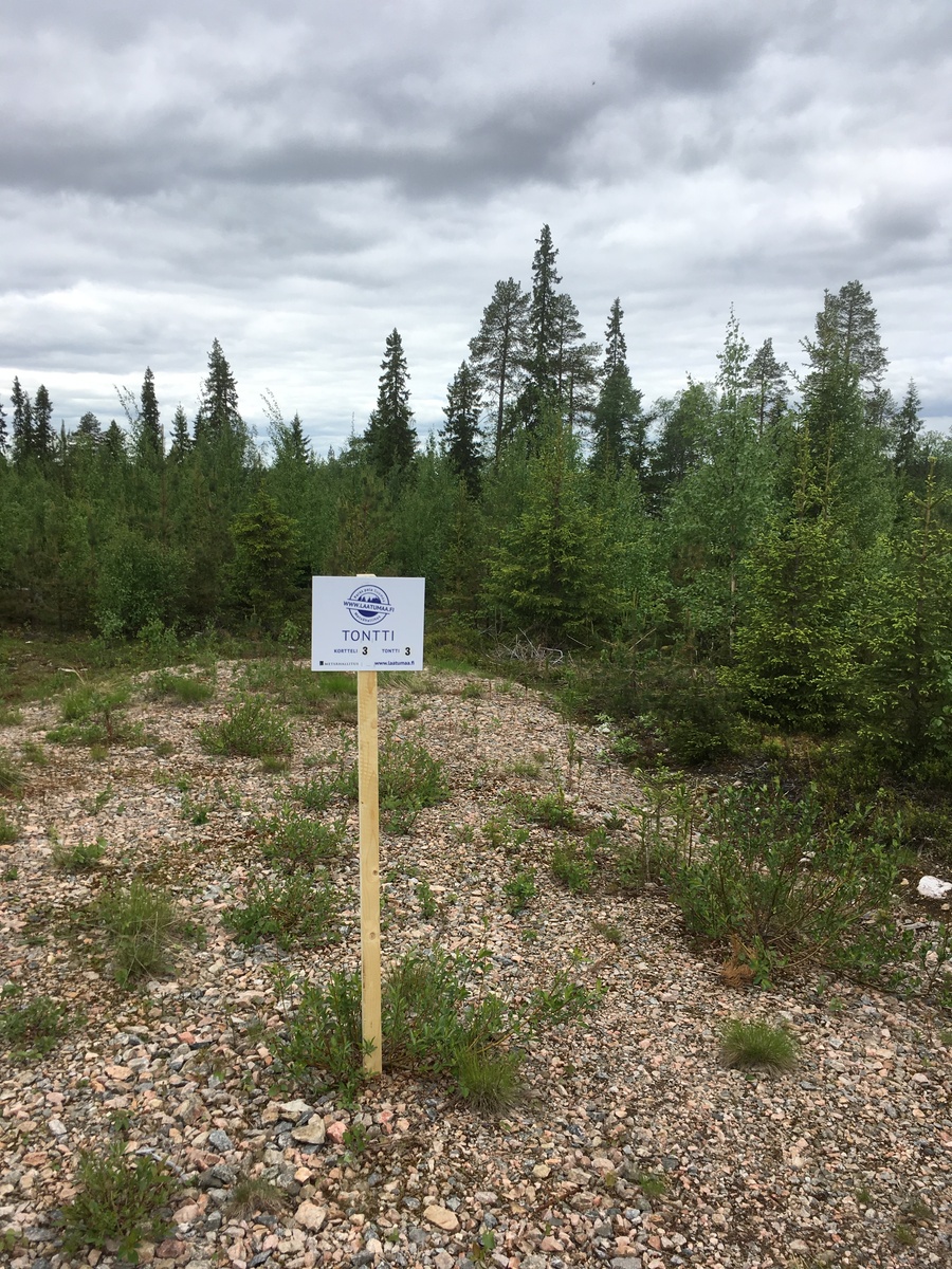 Tontin takaosan sekametsän edustalla on Laatumaan tonttikyltti ja sorainen tienpohja.