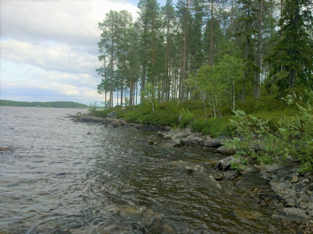 Järvimaisemassa kivikkoinen rantaviiva reunustaa niemeä, jossa kasvaa sekametsää.