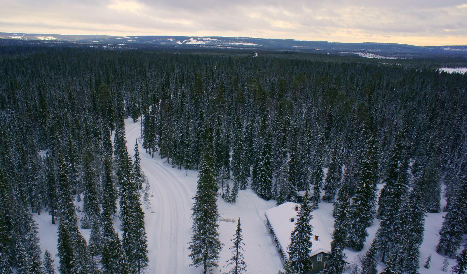 Talvisen metsän halki kulkee hoidettu polku. Etuoikealla on rakennus. Ilmakuva.