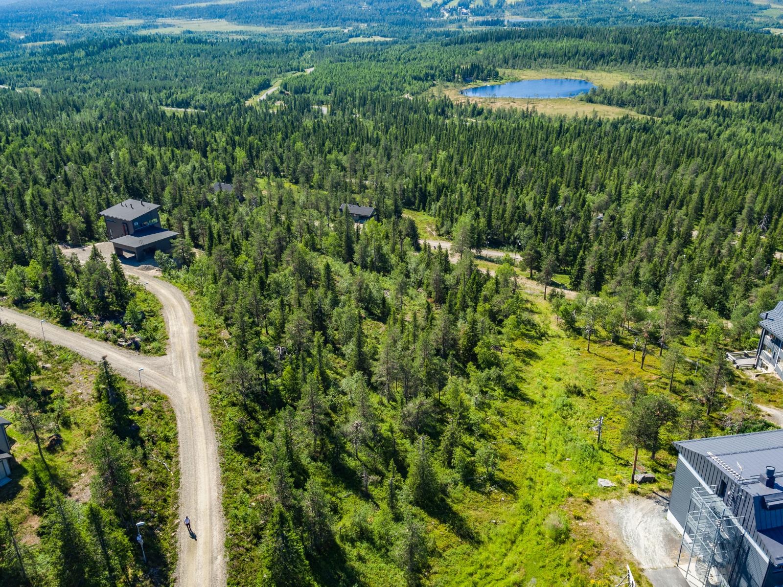 Tie vie mökeille kesäisessä metsämaisemassa kumpuilevassa maastossa. Ilmakuva.