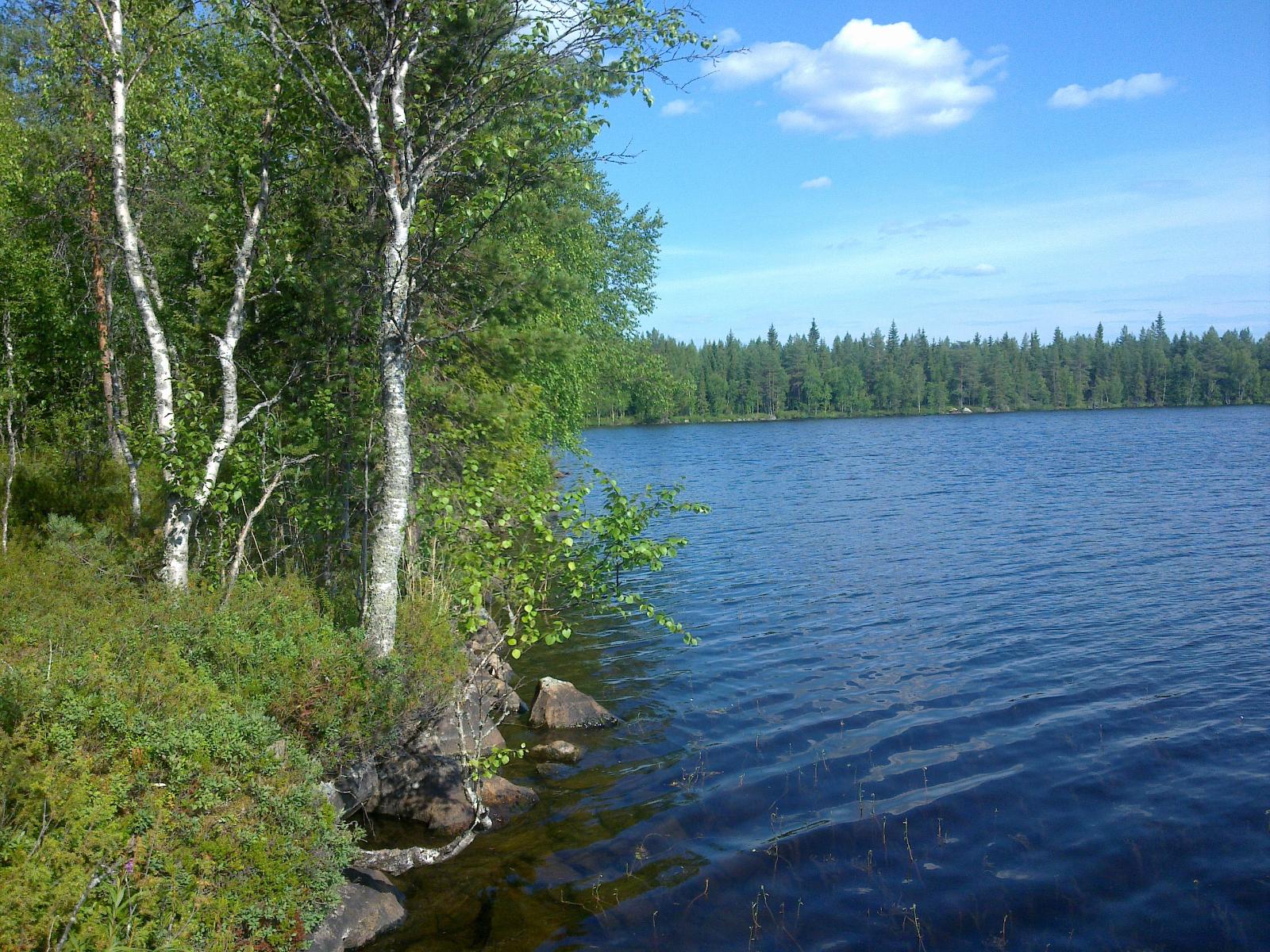 Koivut ja männyt reunustavat oikealla avautuvaa järvimaisemaa. Rantaviiva on kivinen.