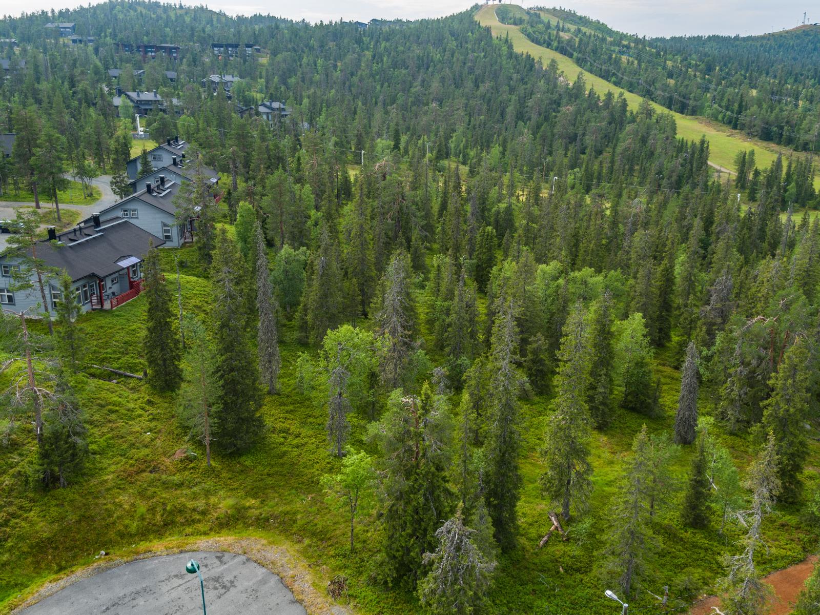 Mökkialuetta ympäröi kesäinen metsä. Taustalla on tunturi laskettelurinteineen. Ilmakuva.