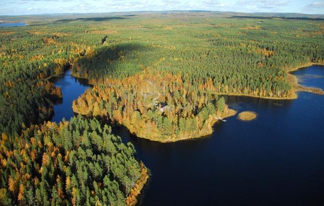 Syysmaisemassa metsien reunustama Vihajoen suu ja järven rantaviiva. Ilmakuva.
