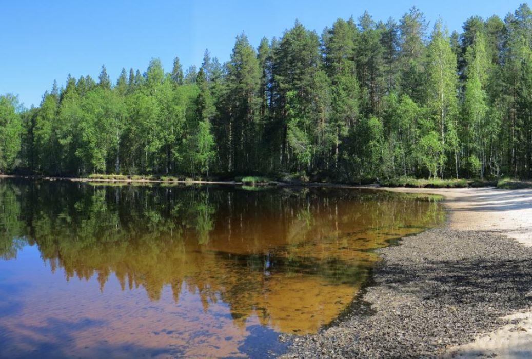 Etualalla on hiekkaranta, jonka takana kasvava metsä heijastuu kirkasvetiseen järveen.