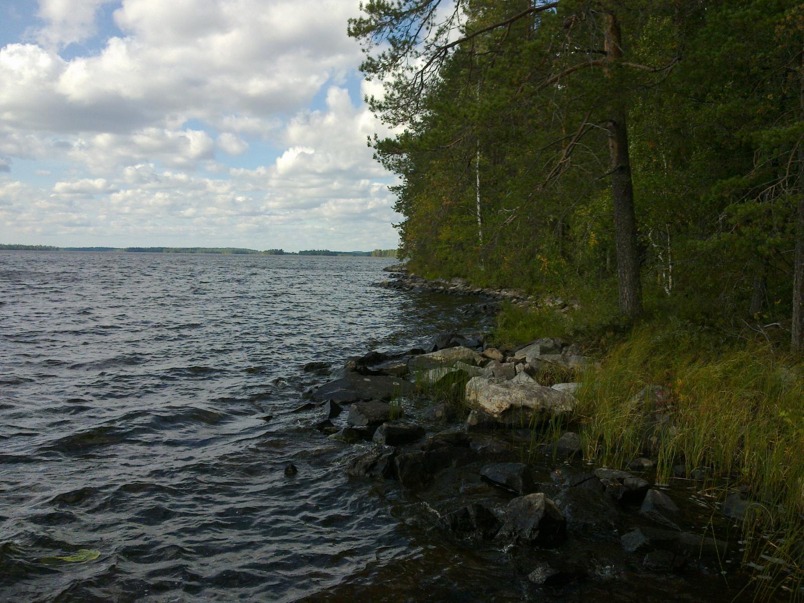 Vesi laineilee tontin kivistä rantaviivaa vasten. Järveä reunustaa kesäinen sekametsä.