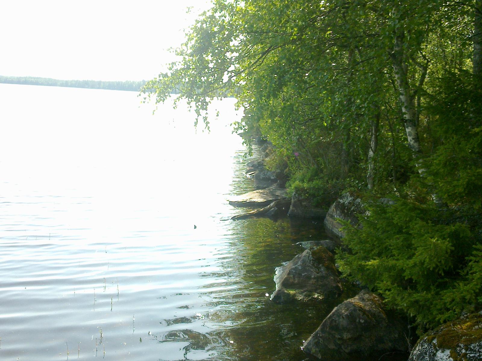 Kuusi ja koivut reunustavat vasemmalla avautuvaa järvimaisemaa. Rantaviiva on kivinen.