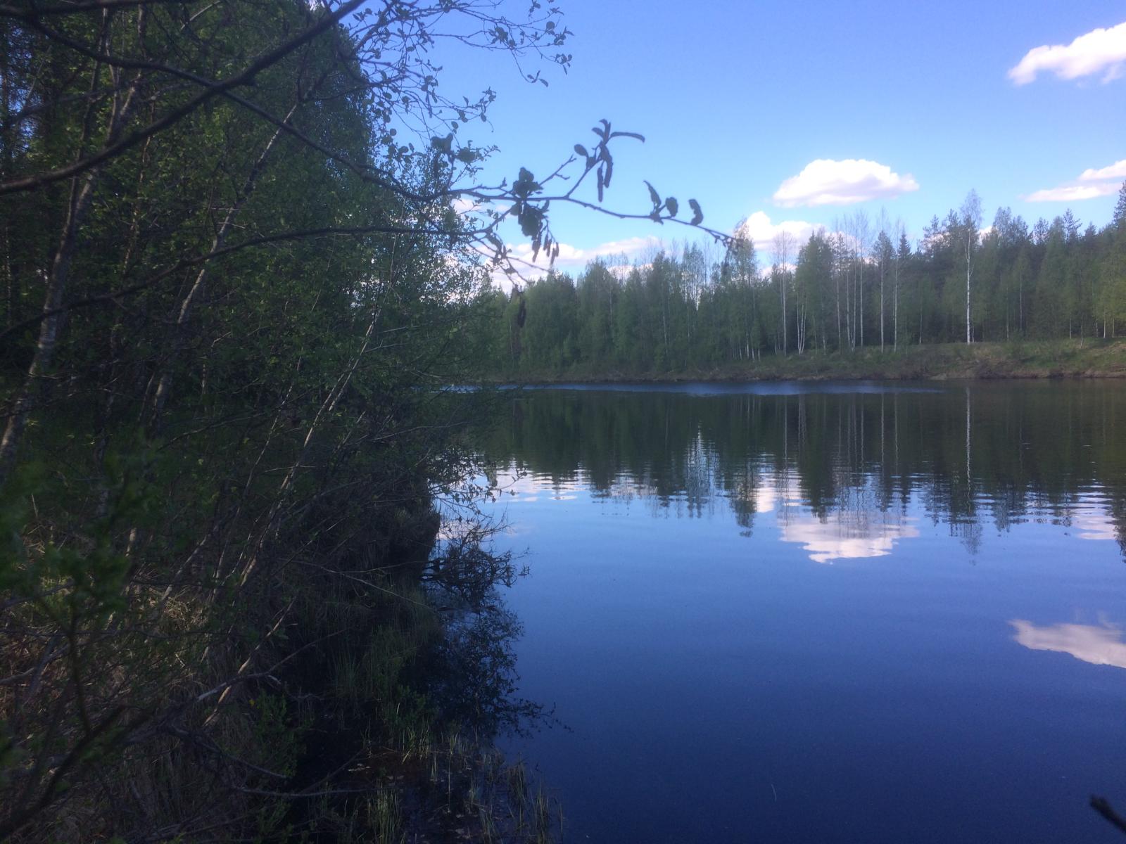 Vastarannan metsä ja lähes pilvetön taivas heijastuvat joen tyyneen pintaan. Etualalla rantapuita.