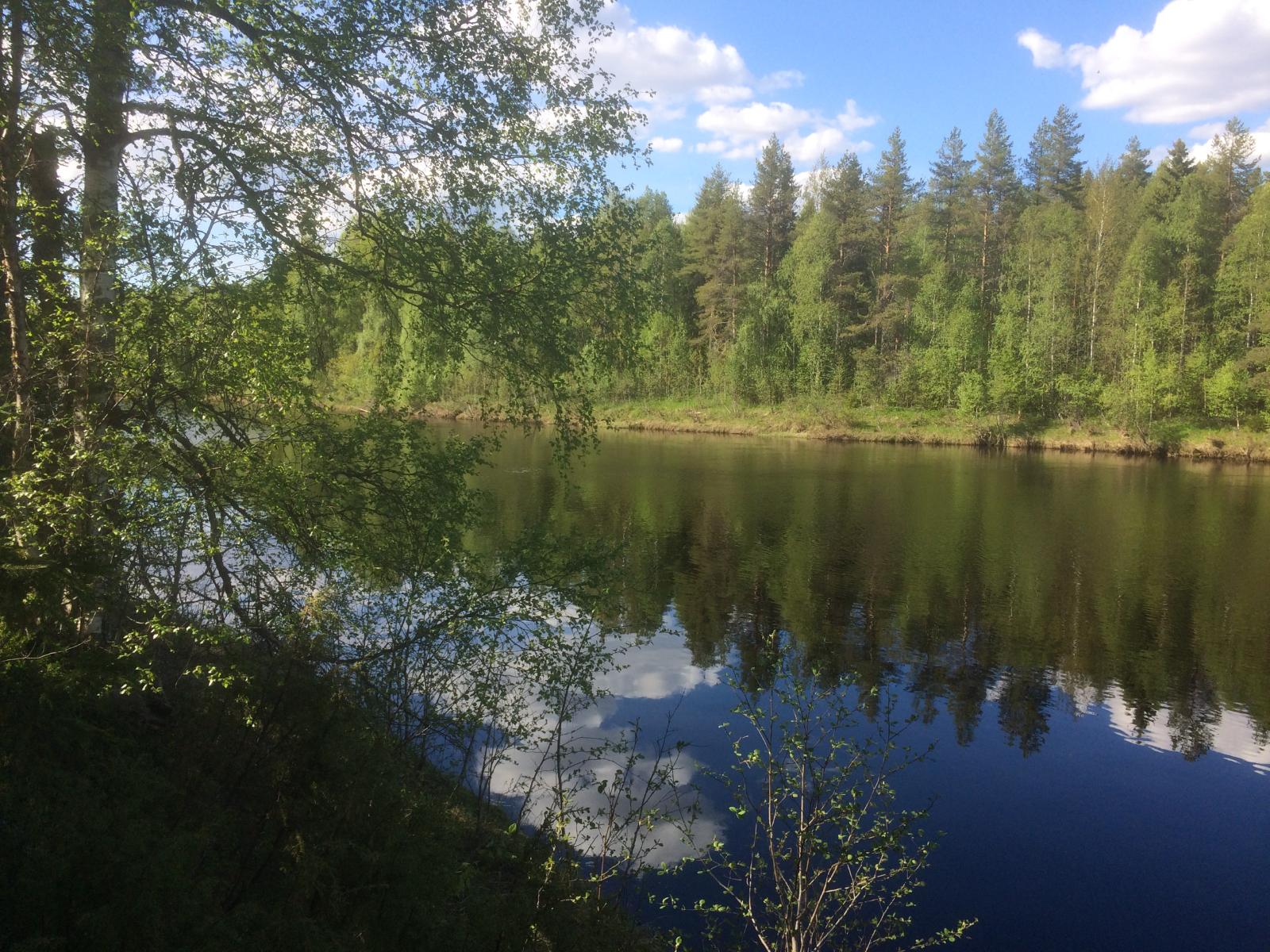 Vastarannan metsä ja lähes pilvetön taivas heijastuvat joen tyyneen pintaan. Etualalla lehtipuita.