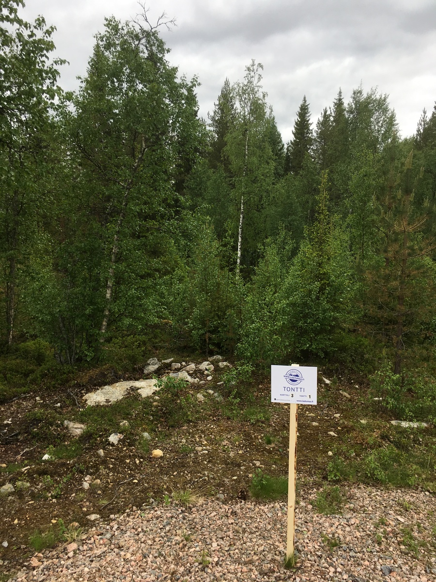 Tontin takaosan sekametsän edustalla on Laatumaan tonttikyltti ja sorainen tienpohja.