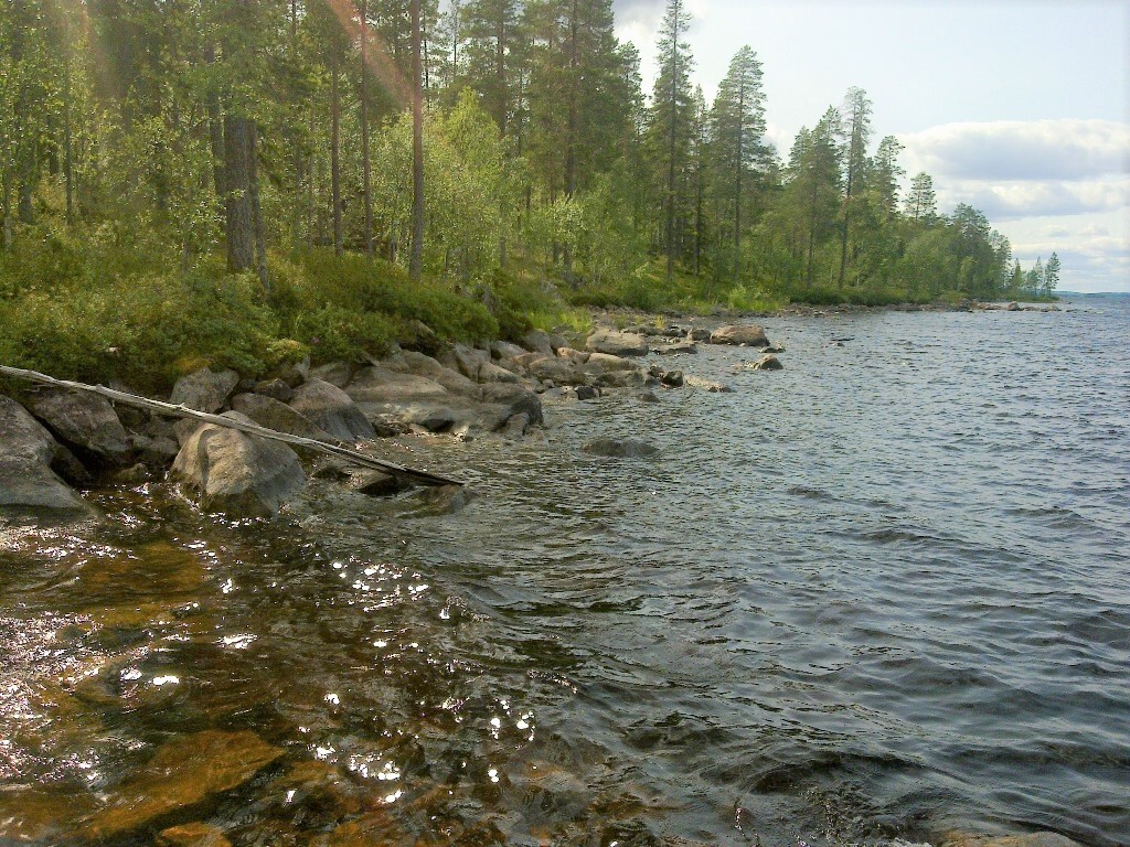 Vehreä sekametsä reunustaa tontin kivikkoista rantaviivaa. Järven pinta laineilee hieman.