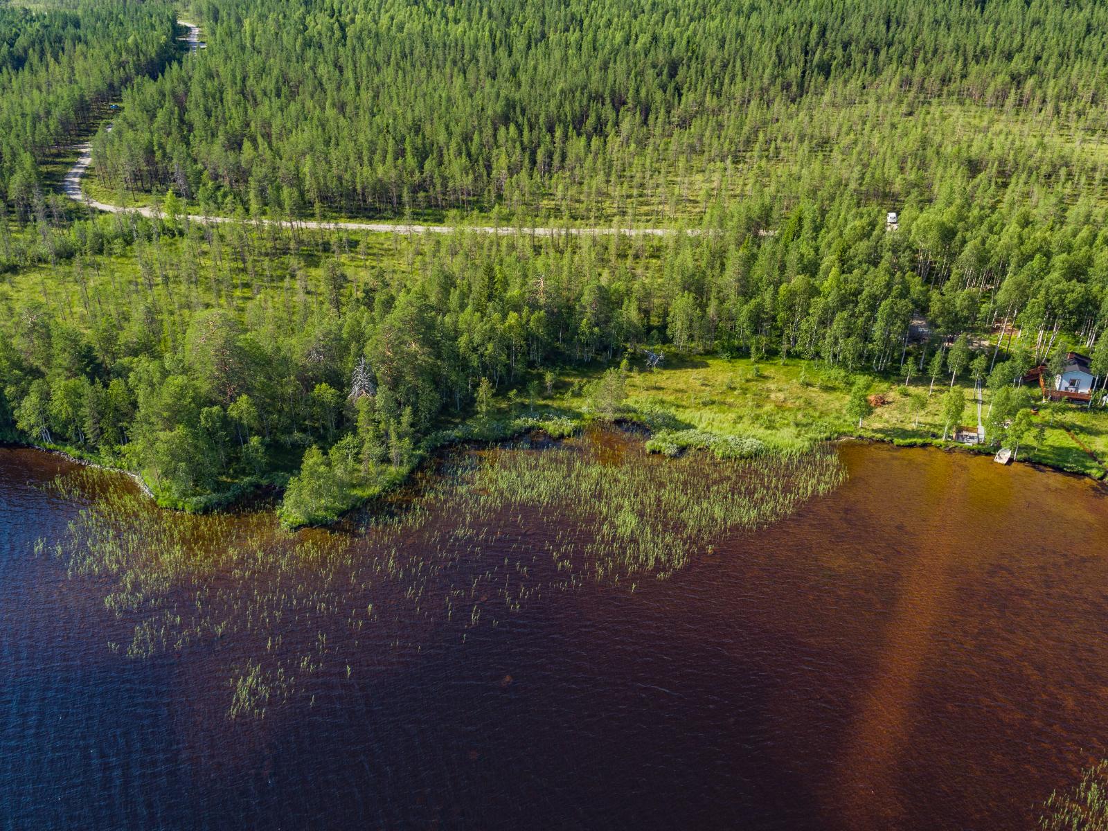 Kesämaisemassa metsä reunustaa järveä. Rannassa on mökki ja metsässä kulkee tie. Ilmakuva.