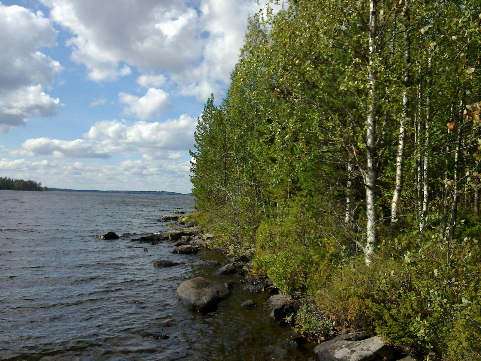 Kesäinen metsä reunustaa järveä ja laaja järvenselkä jatkuu horisonttiin. Rantavedessä on kiviä.