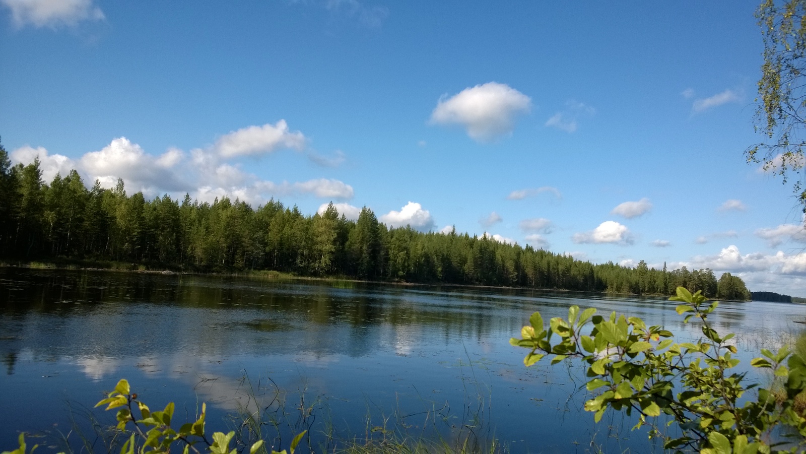Kesäisessä järvimaisemassa vastarannan metsä ja puolipilvinen taivas heijastuvat veteen.