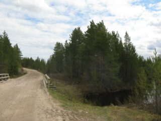 Palstan kaakkoisosassa kasvaa mäntymetsää joen varrella. Hiekkatie ylittää joen siltaa pitkin.