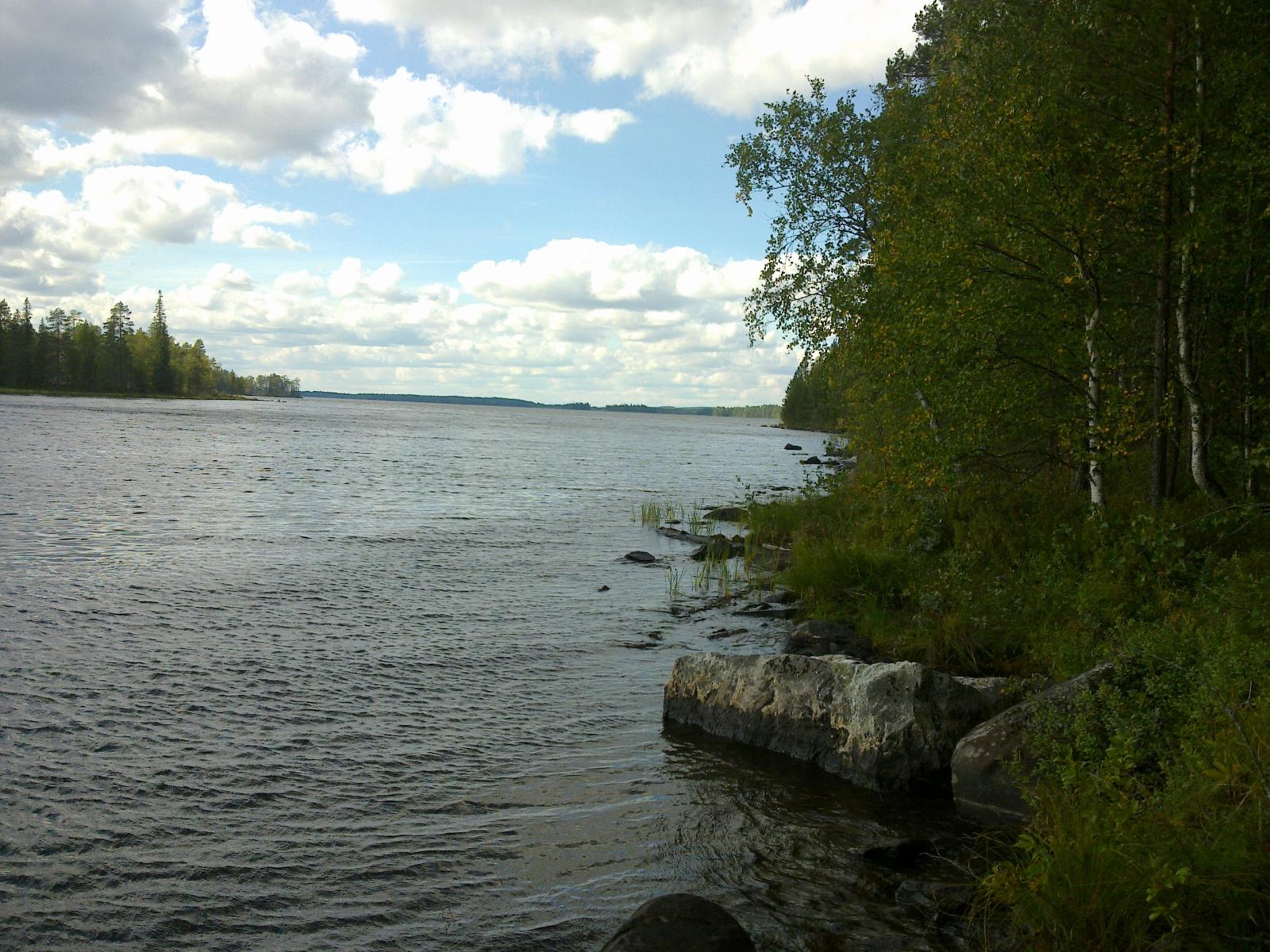 Kesäinen metsä reunustaa järveä ja laaja järvenselkä jatkuu horisonttiin. Rantavedessä on kiviä.