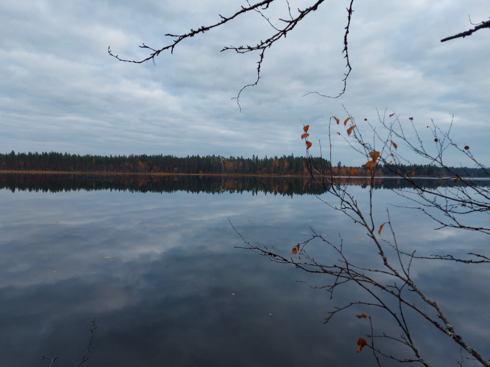 Syksyinen sekametsä reunustaa järveä, jonka tyyneen pintaan heijastuu pilvinen taivas.