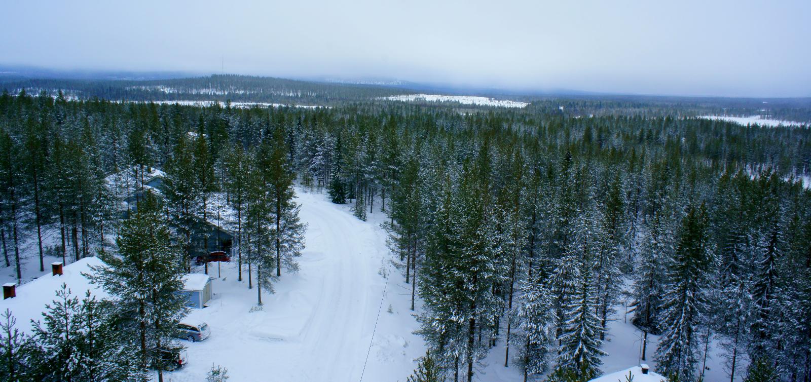 Aurattu tie kulkee mökkien ohitse lumipeitteisessä havumetsässä. Ilmakuva.