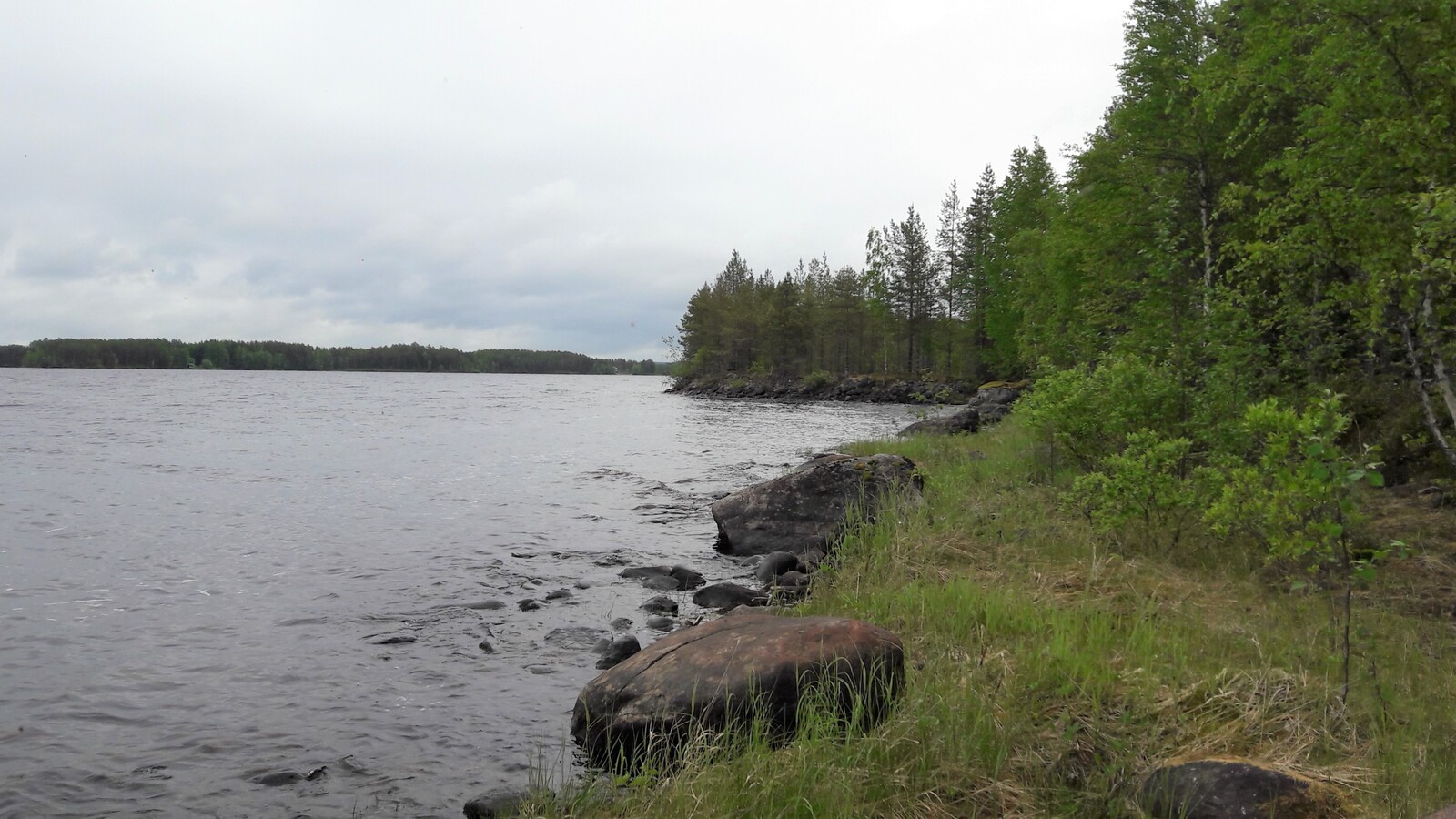 Kesäinen sekametsä reunustaa järveä. Kivinen rantaviiva kääntyy vasemmalle.