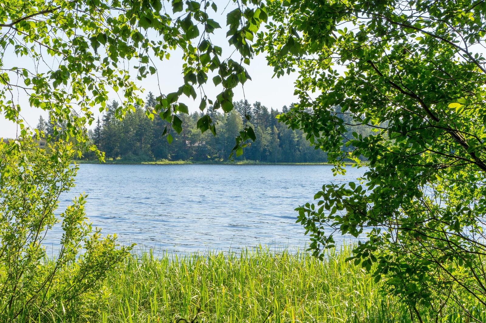 Näkymä tontin rannasta järvelle