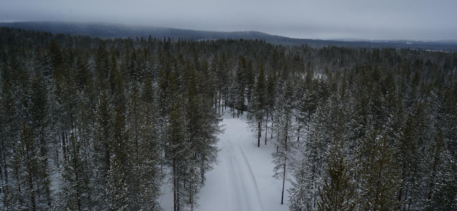 Talvipolku kulkee lumipeitteisessä metsässä. Taustalla kohoaa vaaramaisemat. Ilmakuva.