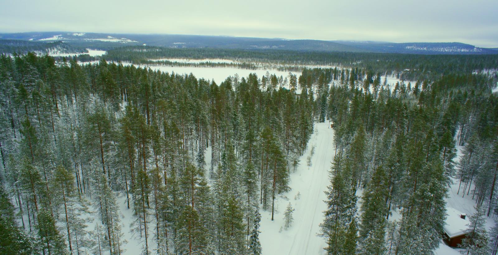 Talvipolku kulkee lumipeitteisellä harjualueella. Horisontissa kohoaa vaaramaisema. Ilmakuva.