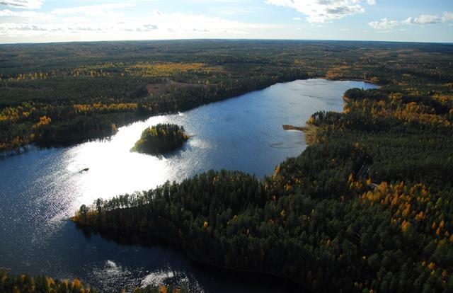 Syysmaisemassa järveä reunustaa laaja horisonttiin jatkuva metsä. Etualalla Hepolahti. Ilmakuva.