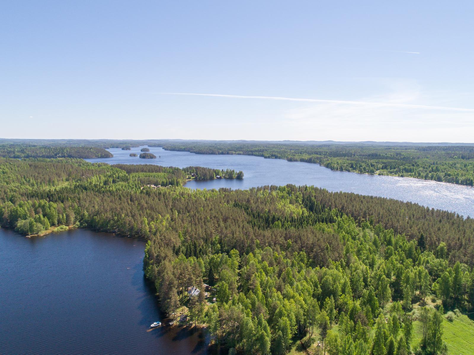 Kesäiset metsäalueet ympäröivät sokkeloista vesistöä. Järven rannalla on rakennuksia. Ilmakuva.