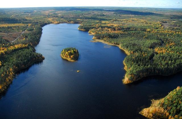 Järveä reunustaa laaja horisonttiin jatkuva syksyinen metsä. Järvenselällä on saari. Ilmakuva.