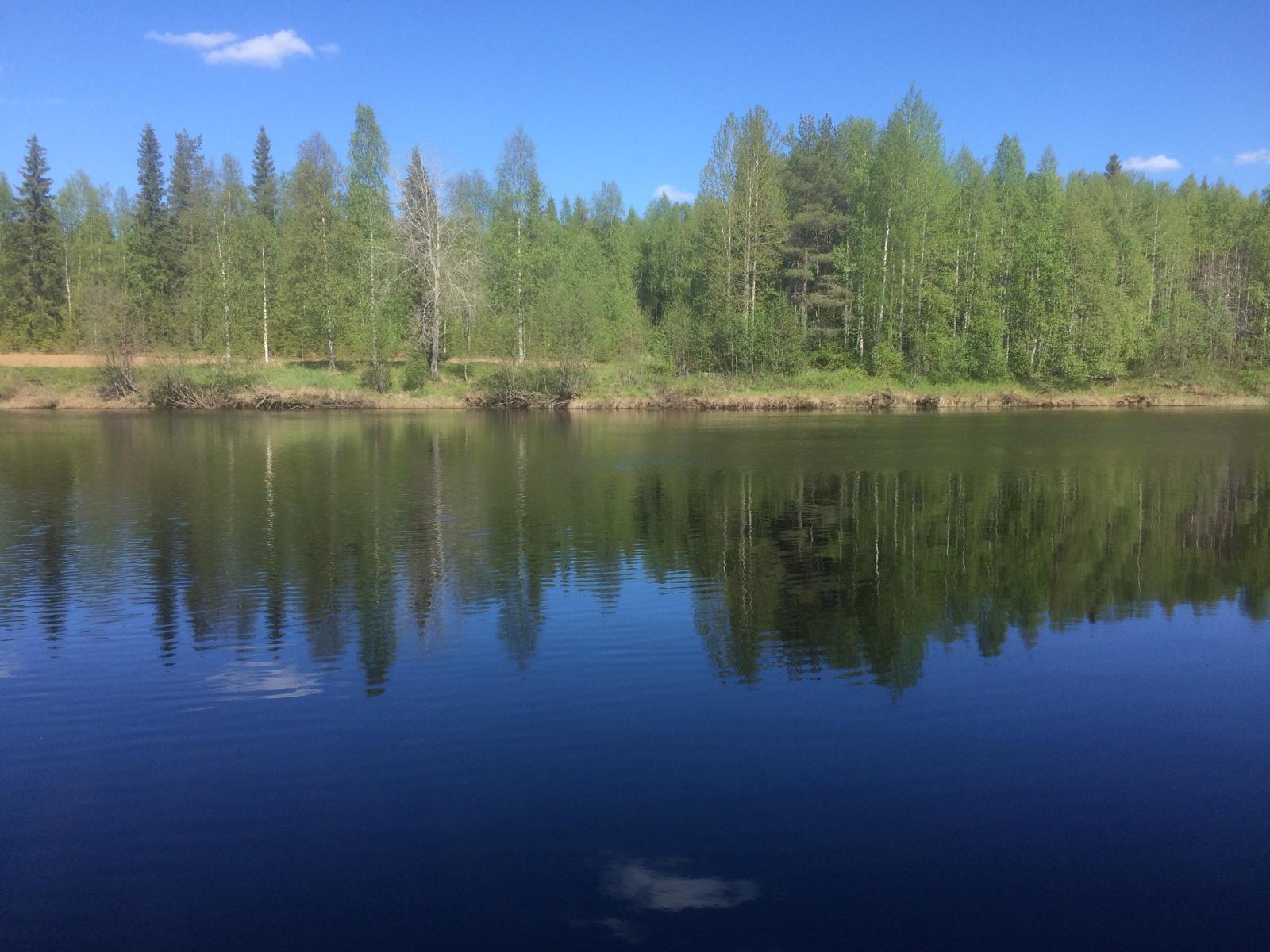 Vastarannan metsä ja lähes pilvetön taivas heijastuvat joen tyyneen pintaan.