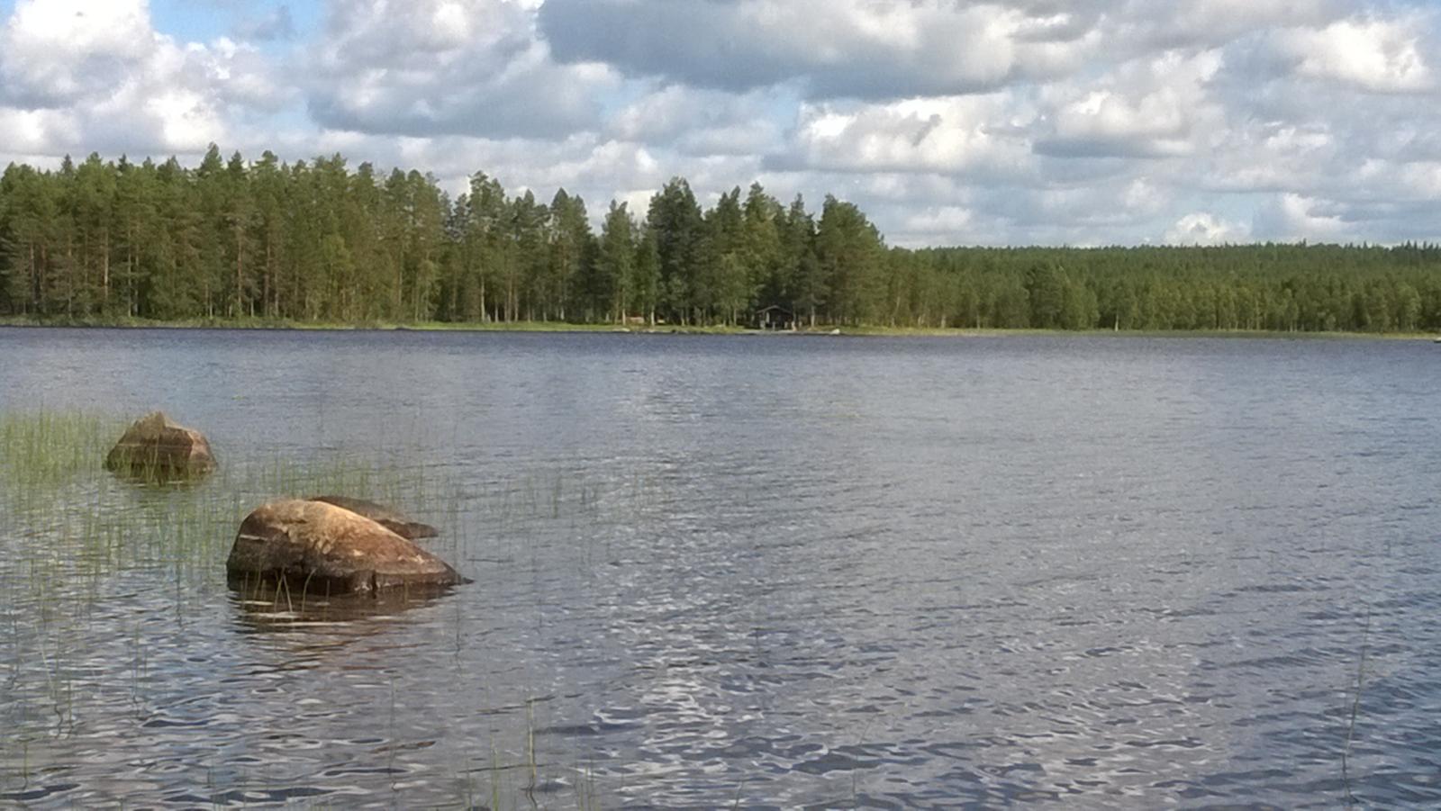 Järvimaisemassa rantavedessä on kiviä ja vesikasveja. Vastarantaa reunustaa kesäinen metsä.