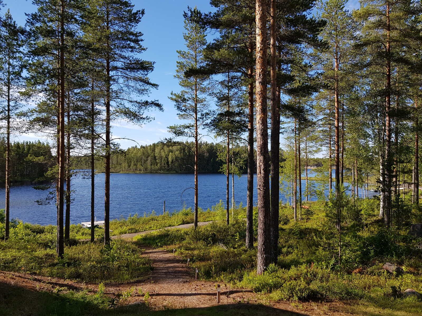 Aurinkoisen mäntymetsän takaa avautuu järvimaisema. Korttelissa 5 on yhteinen laituri ja venepaikat.