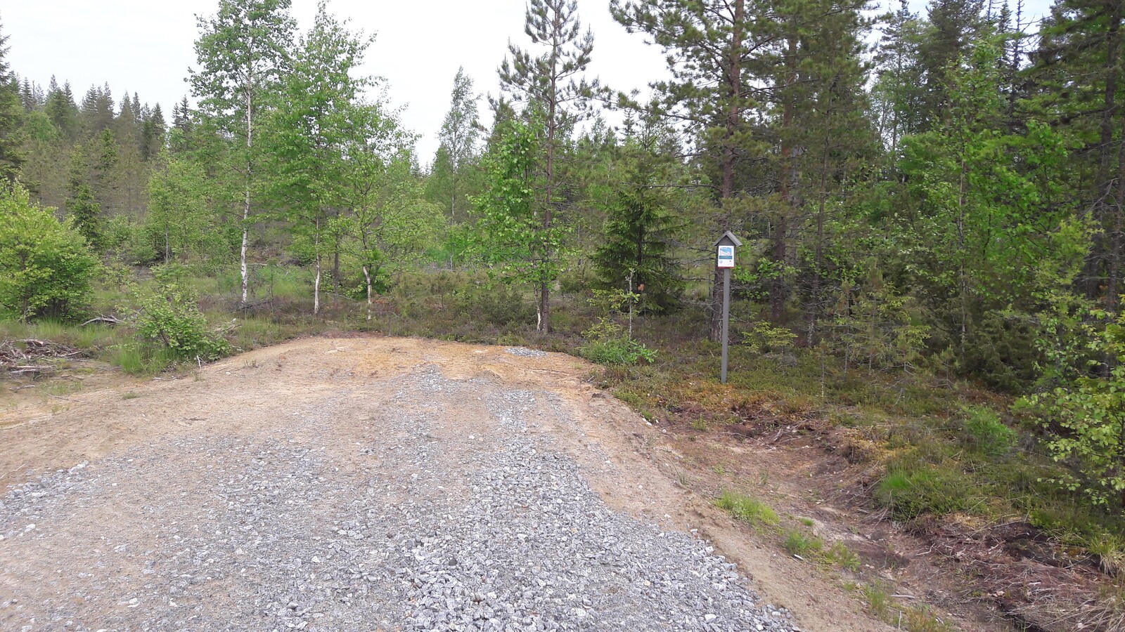 Kesäisen taimikon edustalla on sorapohjainen tonttiliittymä. Oikealla on tonttikyltti.