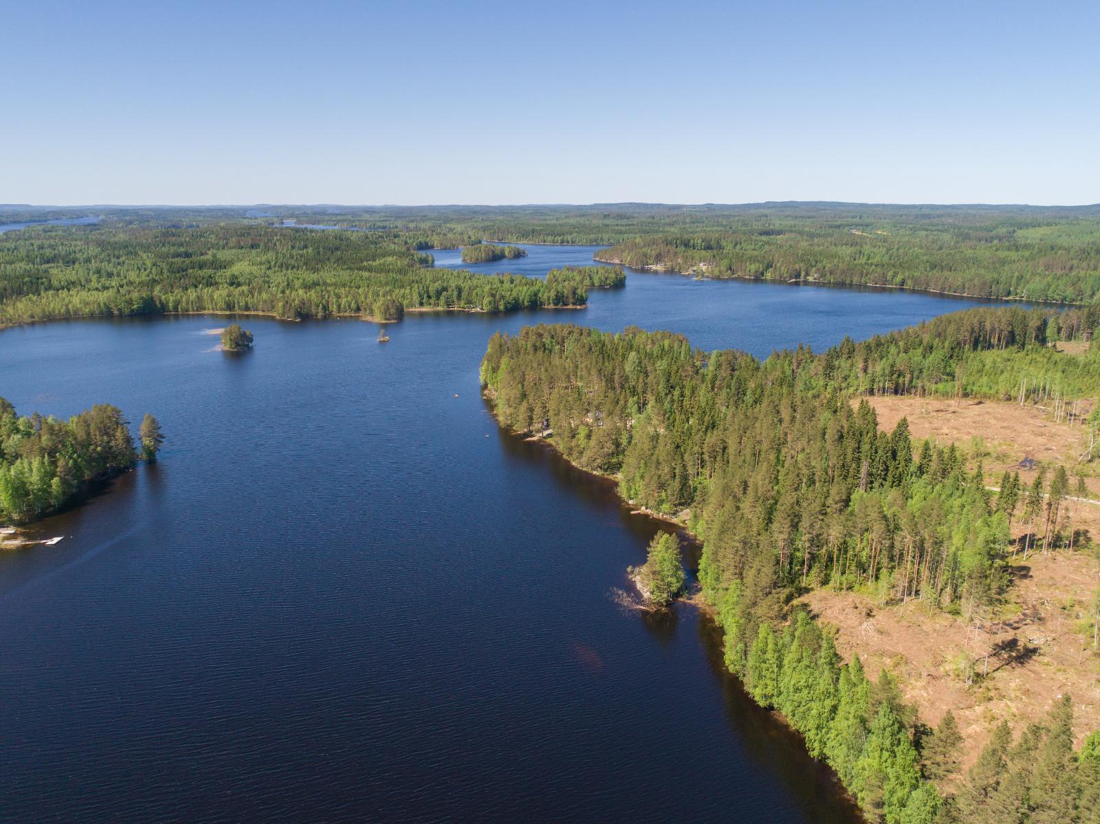 Metsäalueet ympäröivät sokkeloista vesistöä. Oikealla on hakkuuaukea. Ilmakuva.