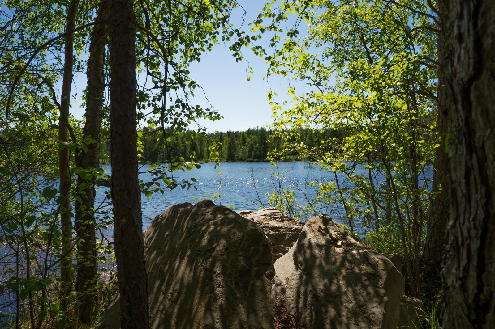 Tontin rannassa kasvavien puiden välissä on suuria kivilohkareita. Taustalla avautuu järvimaisema.