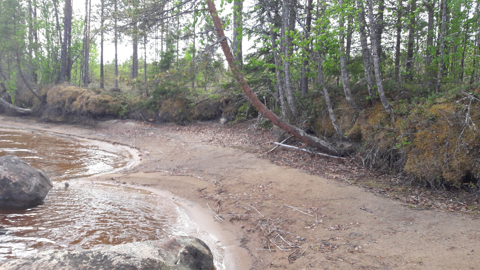 Hiekkarantaa reunustaa matala rantatörmä, jolla kasvaa mäntyjä. Rantavedesä on kiviä.