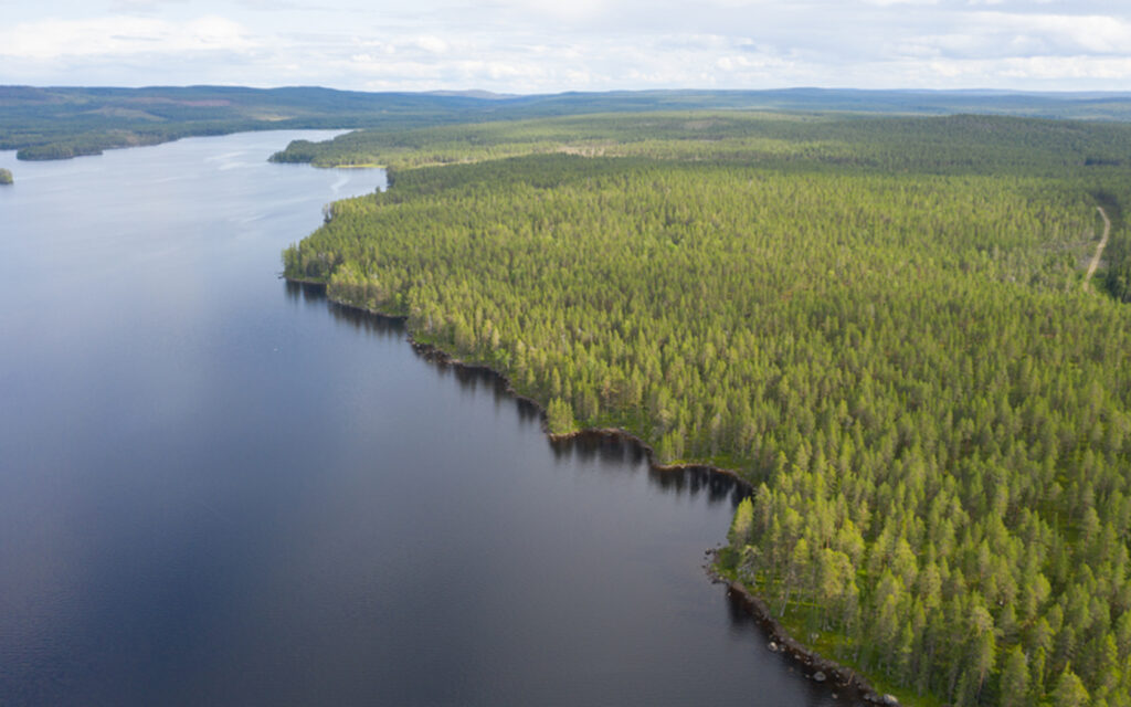 Ilmakuva, jolla näkyy järven selkää ja metsää.